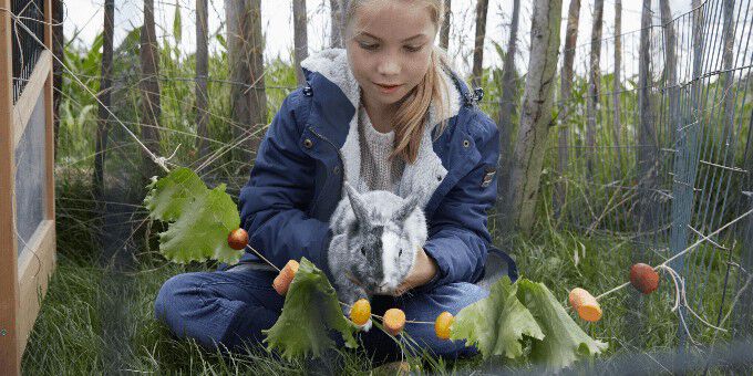 Alles over je konijn Alles over je konijn
